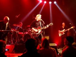 14642420 1268932453149075 516358035240186052 n (1)